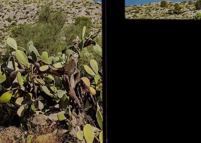 La Font - Trias Pollença