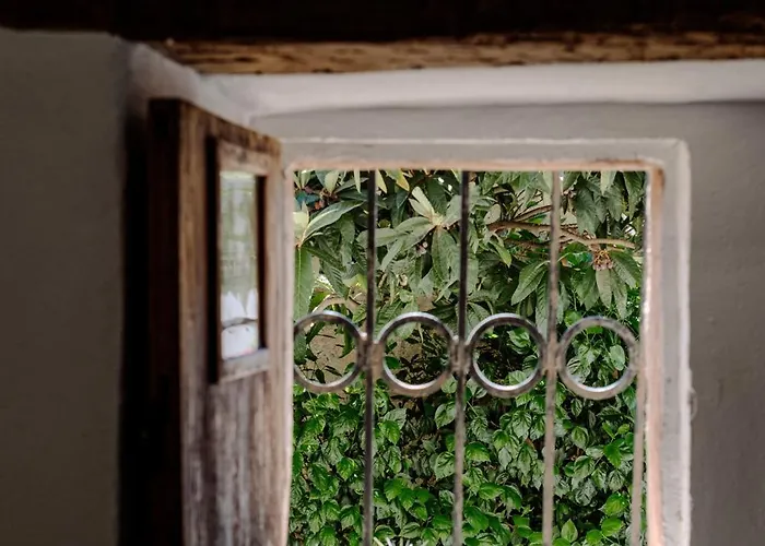 La Font - Trias * Pollensa